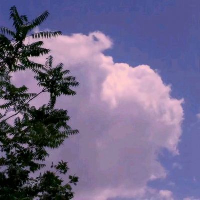 亚博app(中国)官方网站